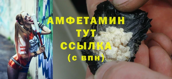 сатива Надым