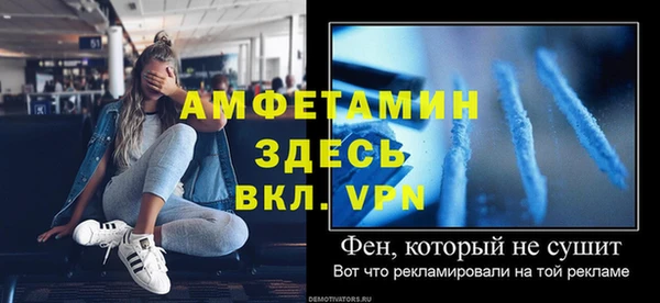 сатива Надым